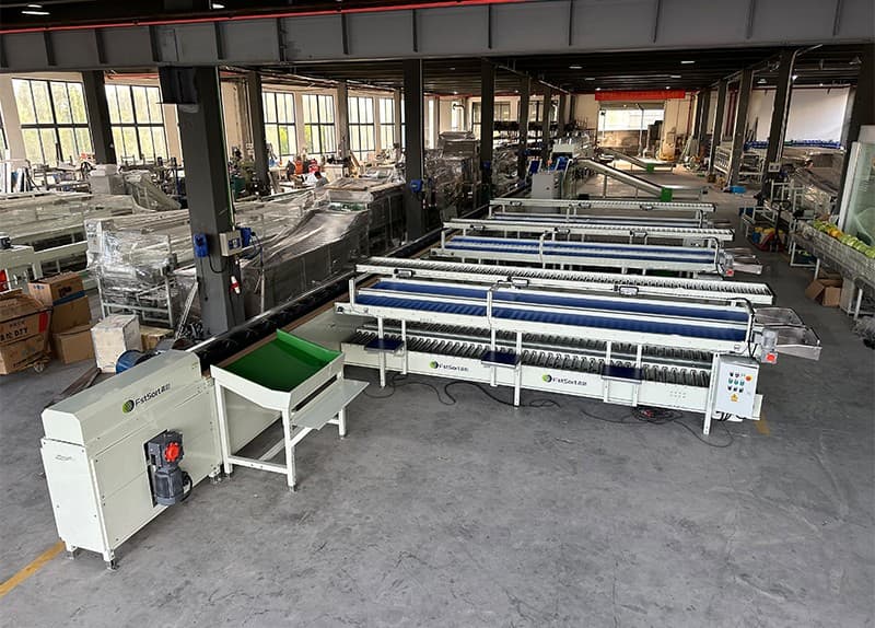images/1736740482836grapefruit weight sorter.jpg